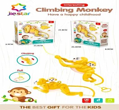 Μαϊμουδάκι που σκαρφαλώνει - 25859E - 807208