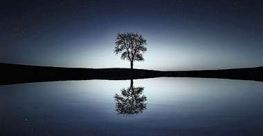 Olympus Diamond Painting "Lonely tree reflected in a lake, peaceful painting" - Ψηφιδωτό Μωσαικό "Μοναχικό δέντρο αντικατοπτρίζεται σε λίμνη,γαλήνιος πίνακας" 50Χ70
