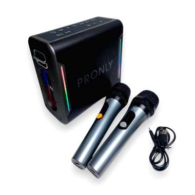 Φορητό ηχείο Bluetooth με 2 μικρόφωνα Karaoke - PR-1016 - 241373