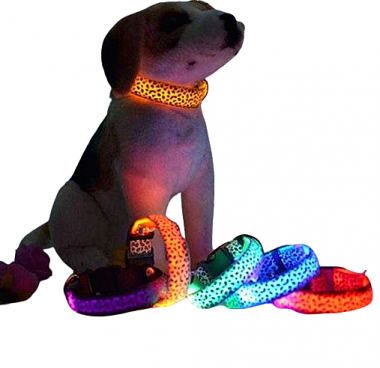 Φωτεινό περιλαίμιο - κολάρο σκύλου - 2.5cm - S/M/L - 10pcs - 550231