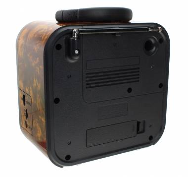 Επαναφορτιζόμενο ραδιόφωνο Retro - RX730D - 717306 - Light Gold