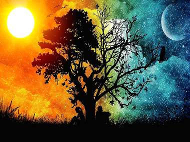 Olympus Diamond Painting "Tree divided by day and night" - Ψηφιδωτό Μωσαικό "Δέντρο χωρισμένο την μέρα και την νύχτα" 50Χ40