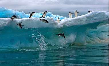 Olympus Diamond Painting "Adelie penguins in Antarctica" - Ψηφιδωτό Μωσαικό "Πιγκουίνοι της Αδελίας στην Ανταρκτική" 40X30