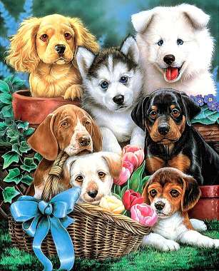 Olympus Diamond Painting "Beautiful puppies" - Ψηφιδωτό Μωσαικό "Όμορφα σκυλάκια" 50Χ40
