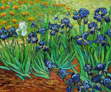Olympus Diamond Painting "Irises,Van Gogh" - Ψηφιδωτό Μωσαικό "Ίριδες,Βαν Γκογκ" 50Χ40