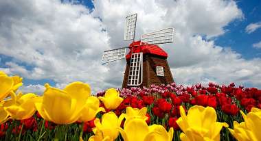 Olympus Diamond Painting Flower Mill- Ψηφιδωτό Μωσαικό "Μύλος με Λουλούδια" 30X20