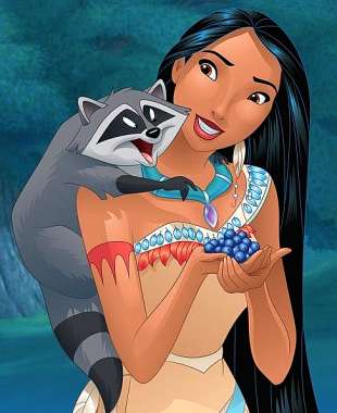 Olympus Diamond Painting "Pocahontas with Meeko" - Ψηφιδωτό Μωσαικό "Ποκαχόντας με Μίκο" 40X30
